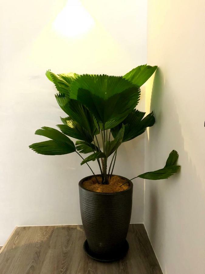 Minimalist Duplex @ Petaling Jaya & Sunway Apartment Екстериор снимка